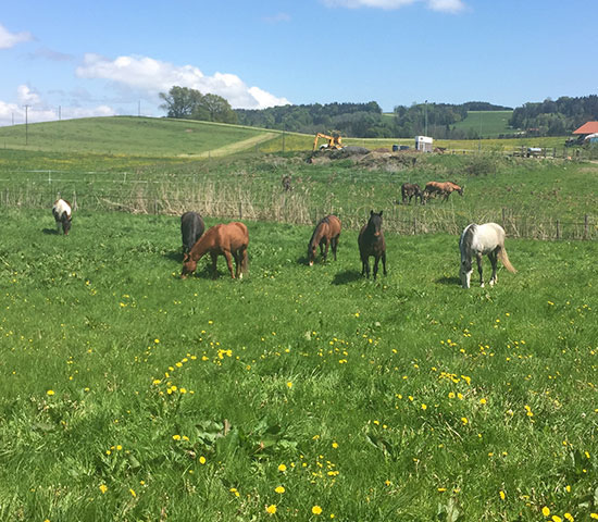 %_tempFileNameIMG_0794%