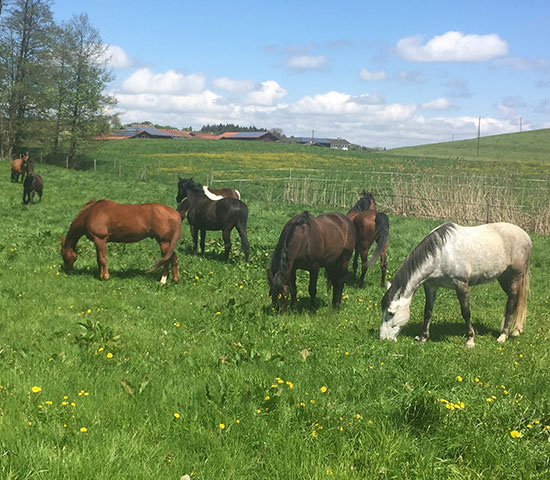 %_tempFileNameIMG_0795%