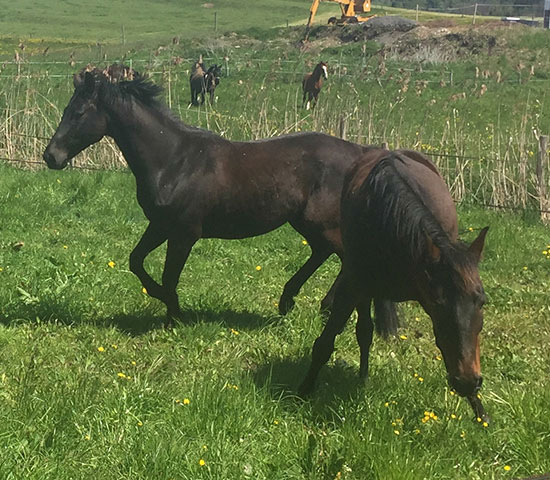 %_tempFileNameIMG_0803%