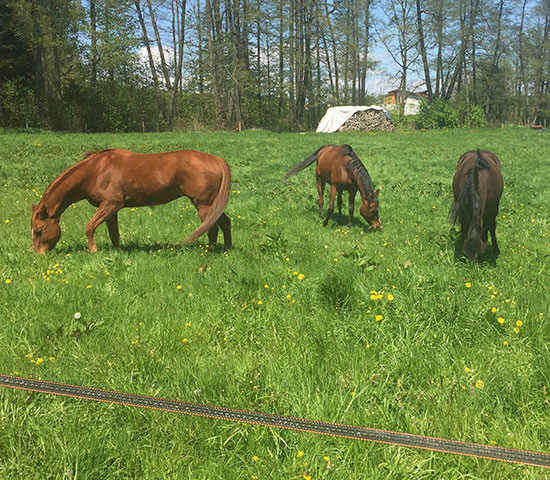 %_tempFileNameIMG_0806%