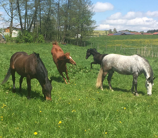 %_tempFileNameIMG_0809%