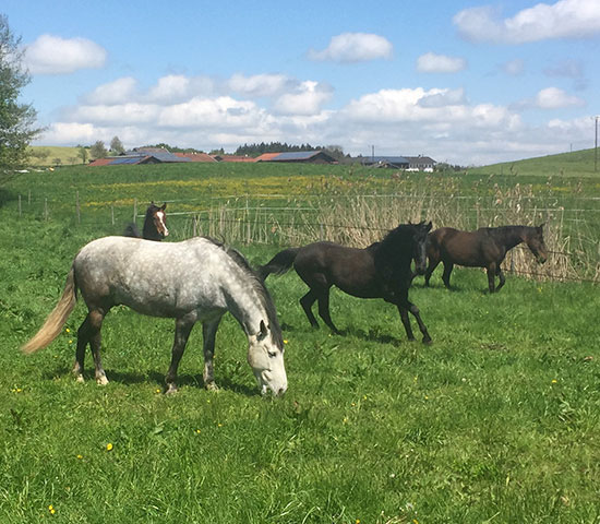 %_tempFileNameIMG_0813%