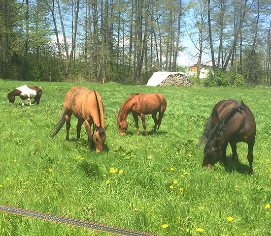 %_tempFileNameIMG_0815%