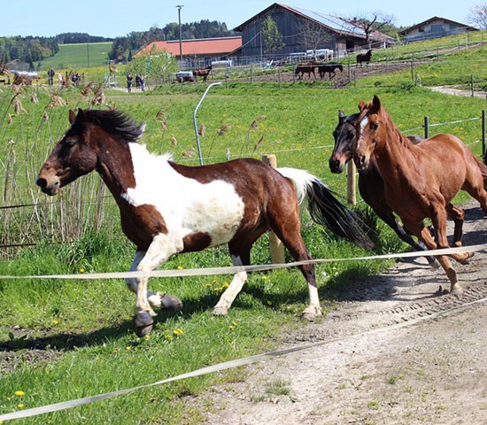 %_tempFileNameIMG_0852%