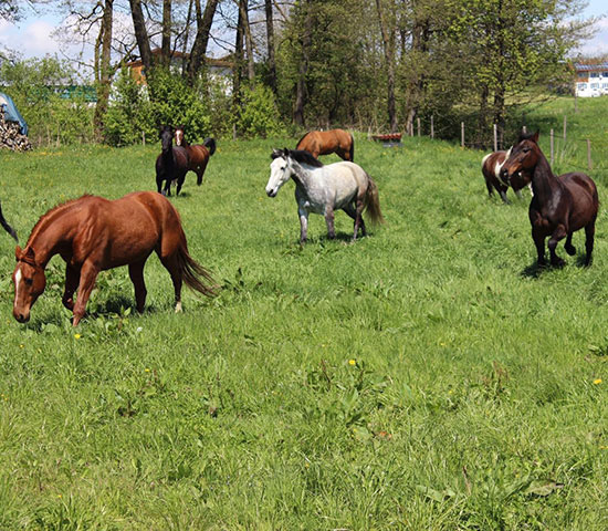 %_tempFileNameIMG_0855%