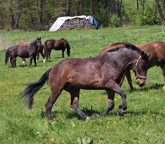 %_tempFileNameIMG_0861%